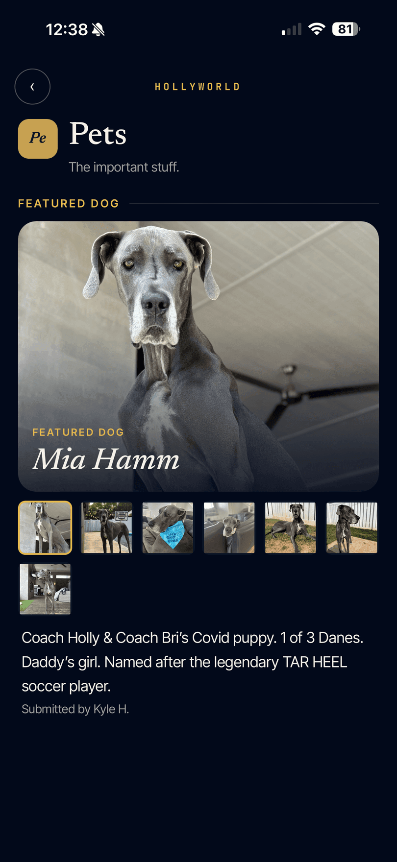 HollyWorld Pets - the featured dog of the week